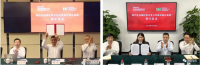 中國寶武，究竟儲(chǔ)備了多少鐵礦？
